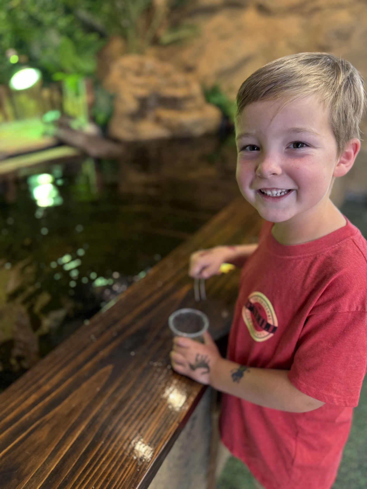 BK's Reptile & Zoo - Turtle Feeding Station