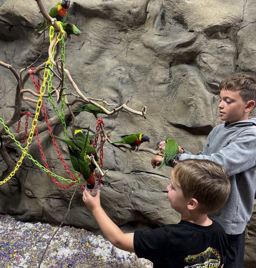BK's Reptile & Zoo - Lorikeet Paridise