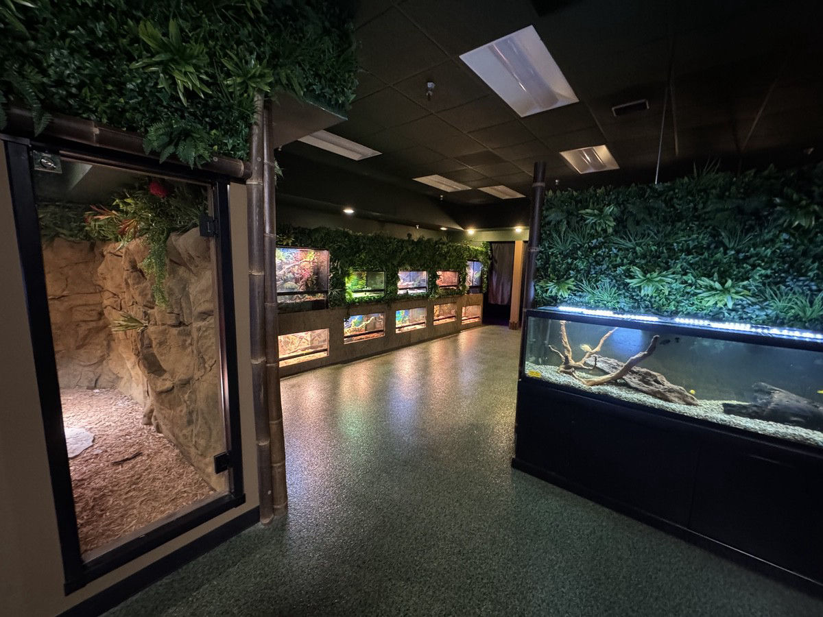 BK's Reptile & Zoo - Reptile Zoo